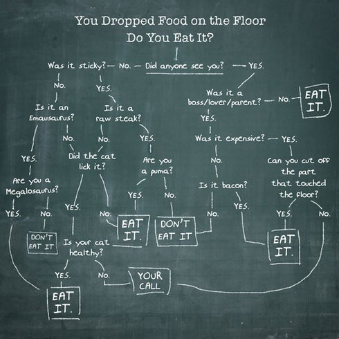 490youdroppedfood